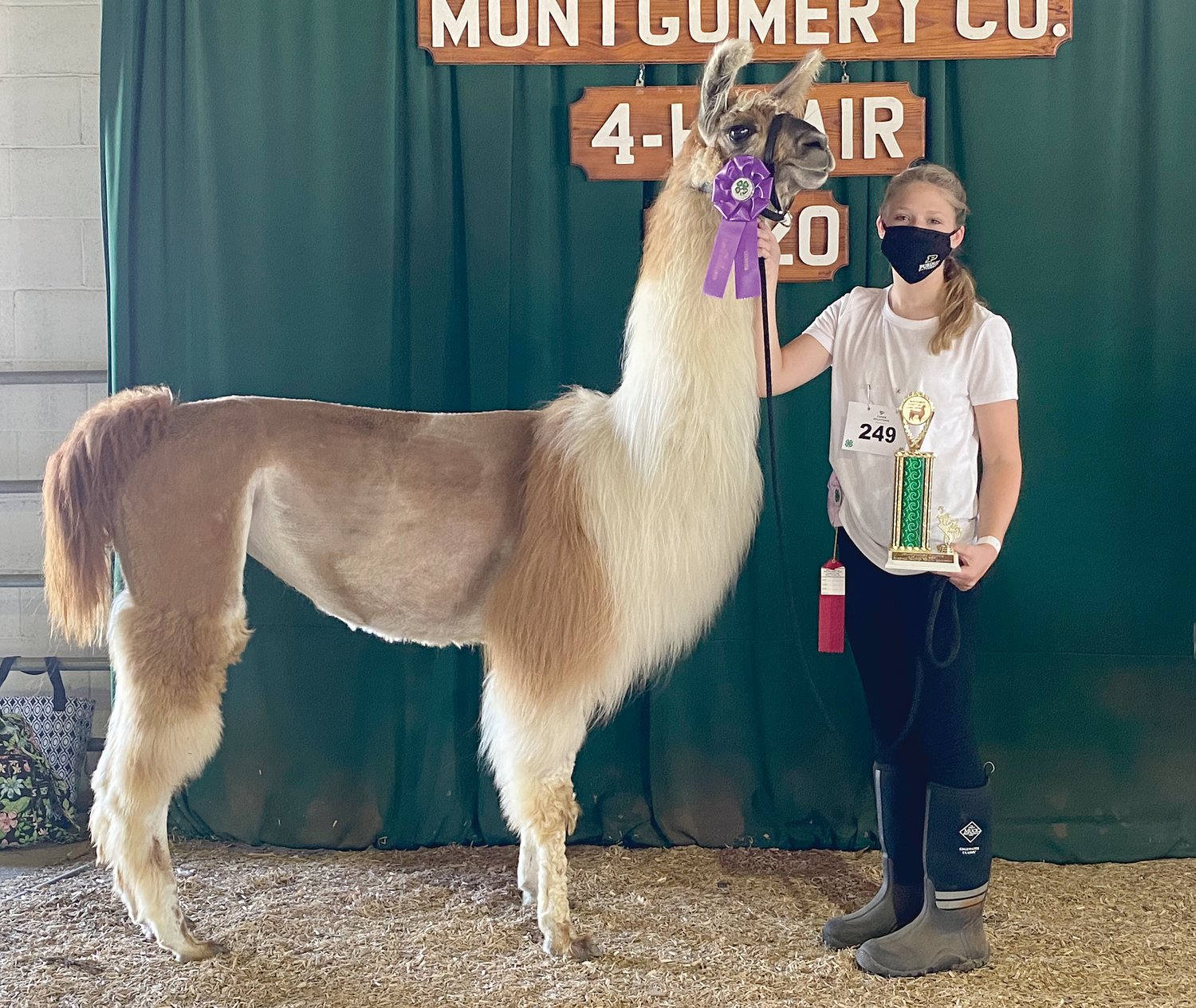 Adelaide Wachtstetter, pictured with Sophia, was reserve champion senior showman.